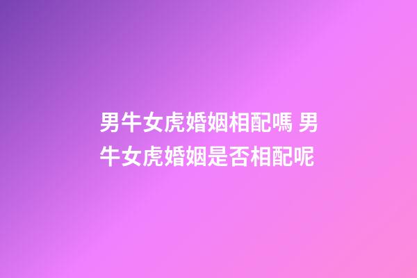 男牛女虎婚姻相配嗎 男牛女虎婚姻是否相配呢-第1張-觀點-玄機派